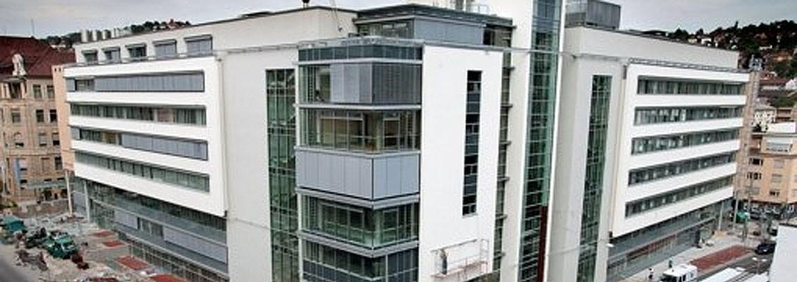 pualinenpark pualinenpark